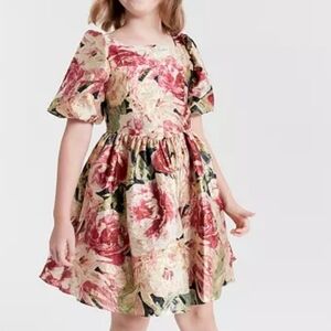 Rare Editions Big‎ Girls Floral Organza Dress Size 14